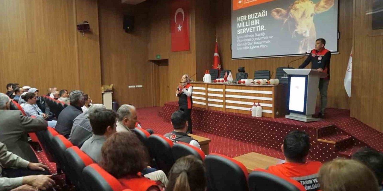 Muğla’da buzağı kayıplarını azaltmaya yönelik eğitimler başladı