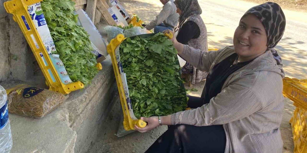 Üzümden önce yaprağı kazandırıyor