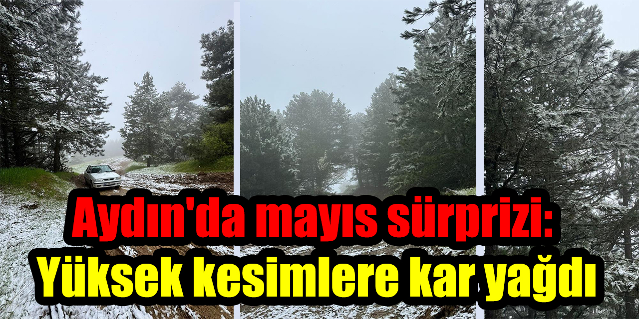 Aydın'da mayıs sürprizi: Yüksek kesimlere kar yağdı