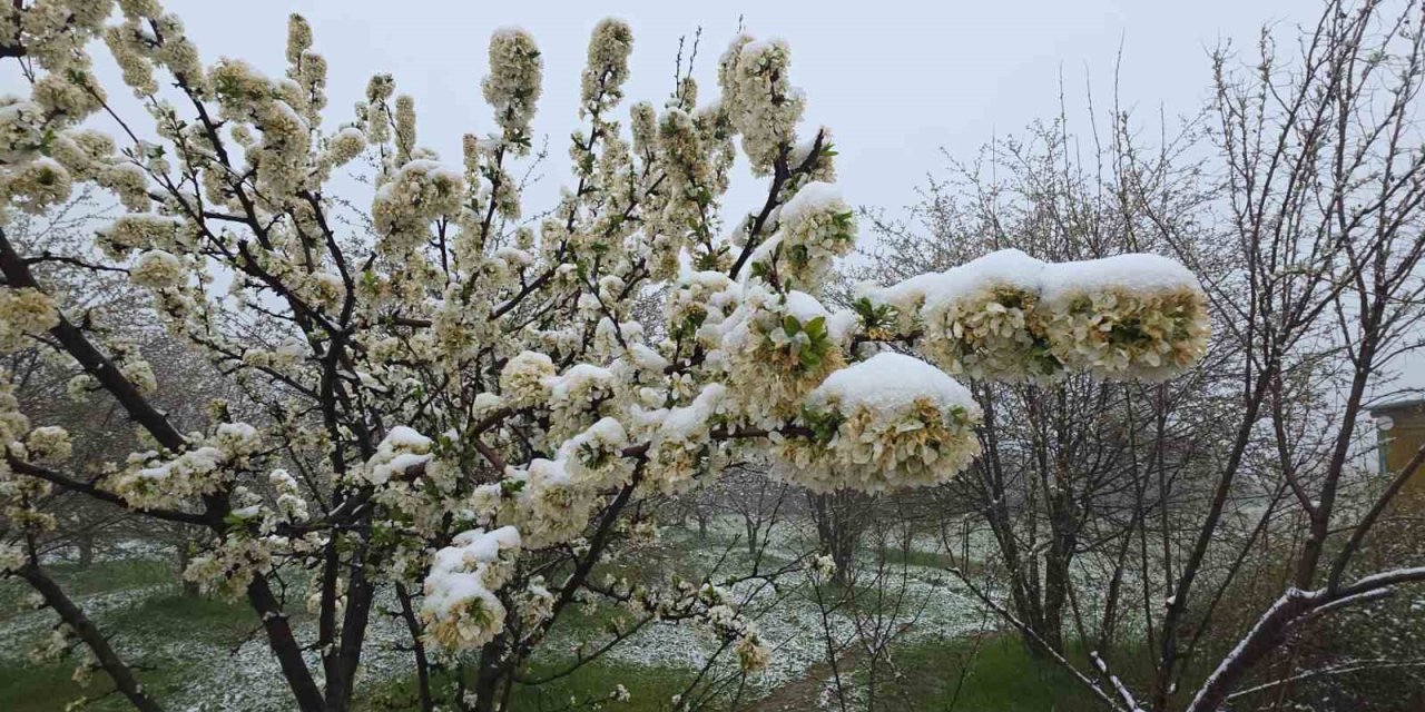 Kütahya’da mayıs karı yağışı hayatı olumsuz etkiledi, üretici endişeli