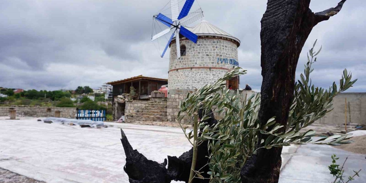 Tarihi yel değirmeni yeniden rüzgarla buluştu