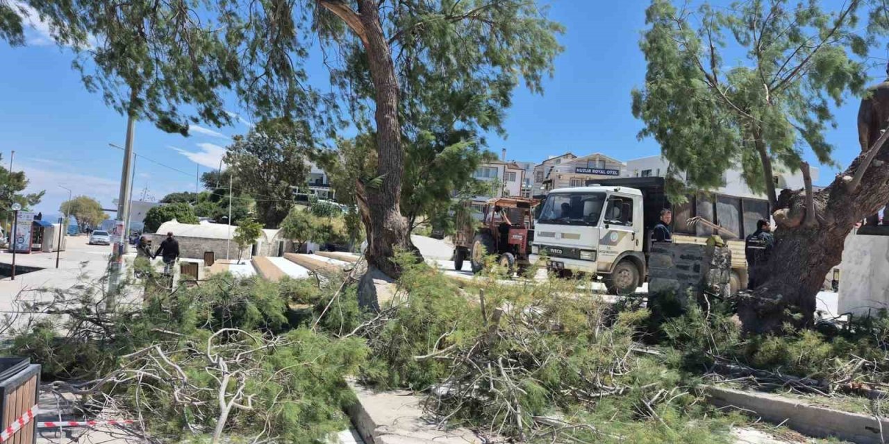 Datça’da rüzgar etkili oldu