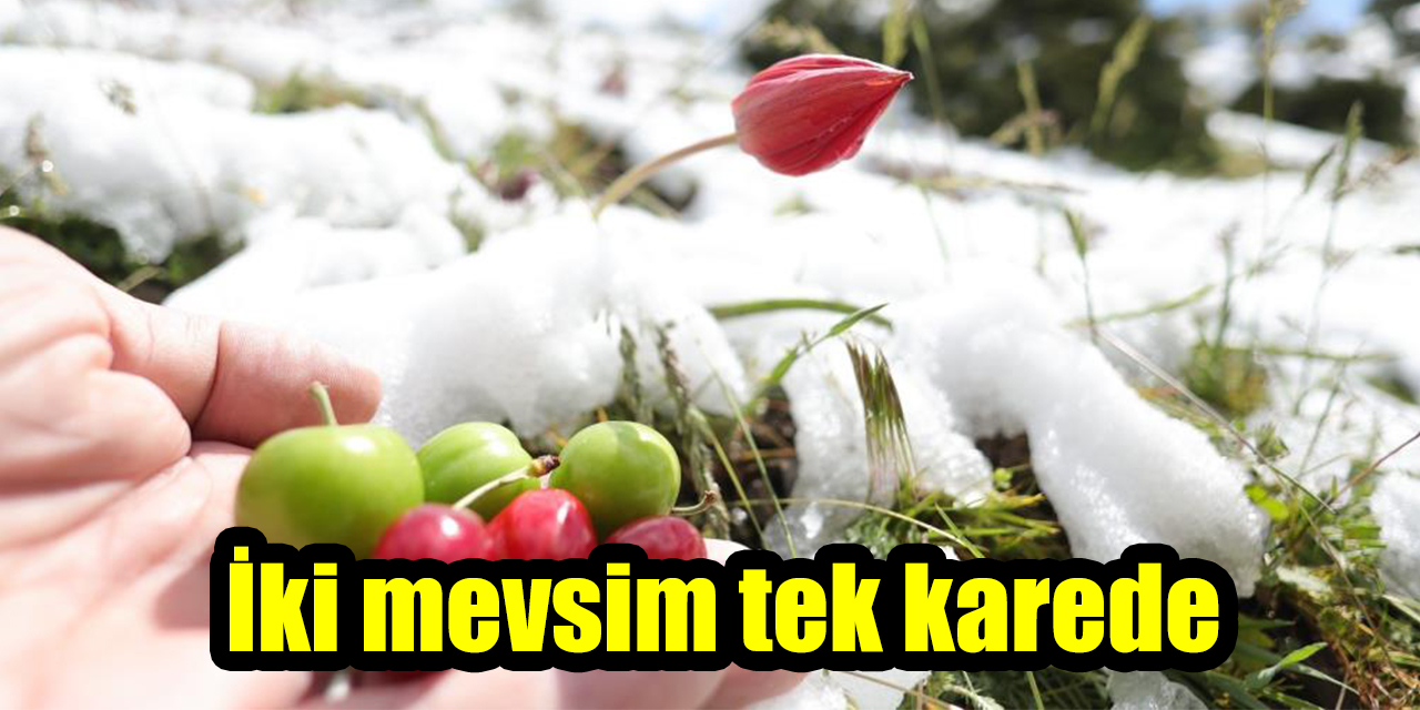 İki mevsim tek karede