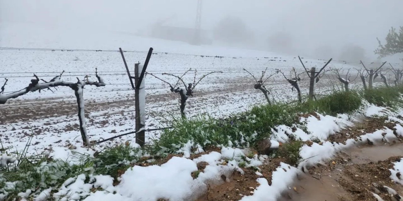 Yüksek kesimlerde ani hava değişimi üreticiyi zorladı