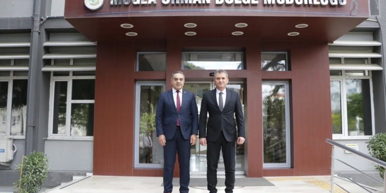 Aydın’da kestane ağaçları biyolojik mücadele ile korunuyor