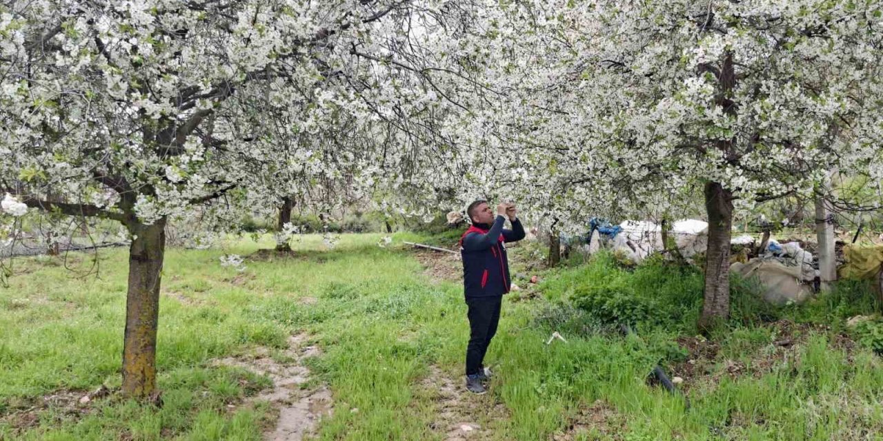 Zirai don uyarısı yapılan bölgelerde hasar tespit çalışması yapıldı