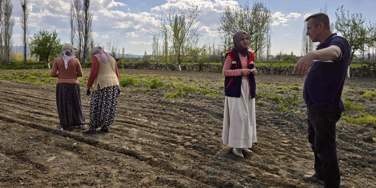 Tarım arazilerinde kontroller sürüyor