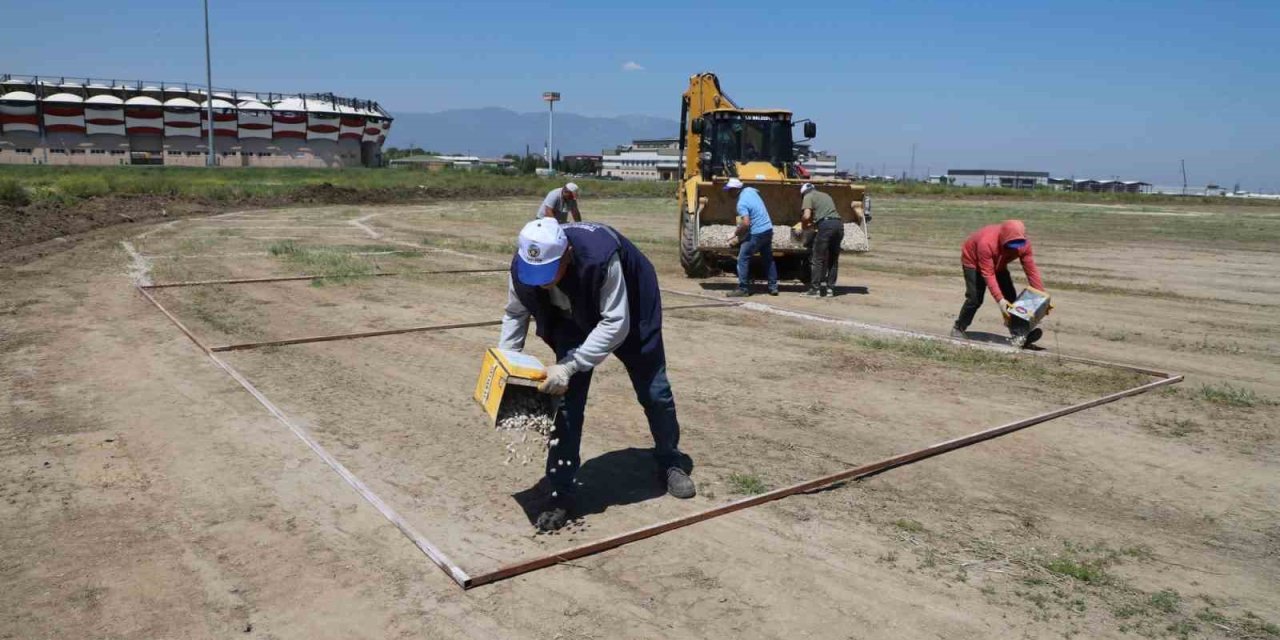 Turgutlu Belediyesi kotra satışlarına başlayacak