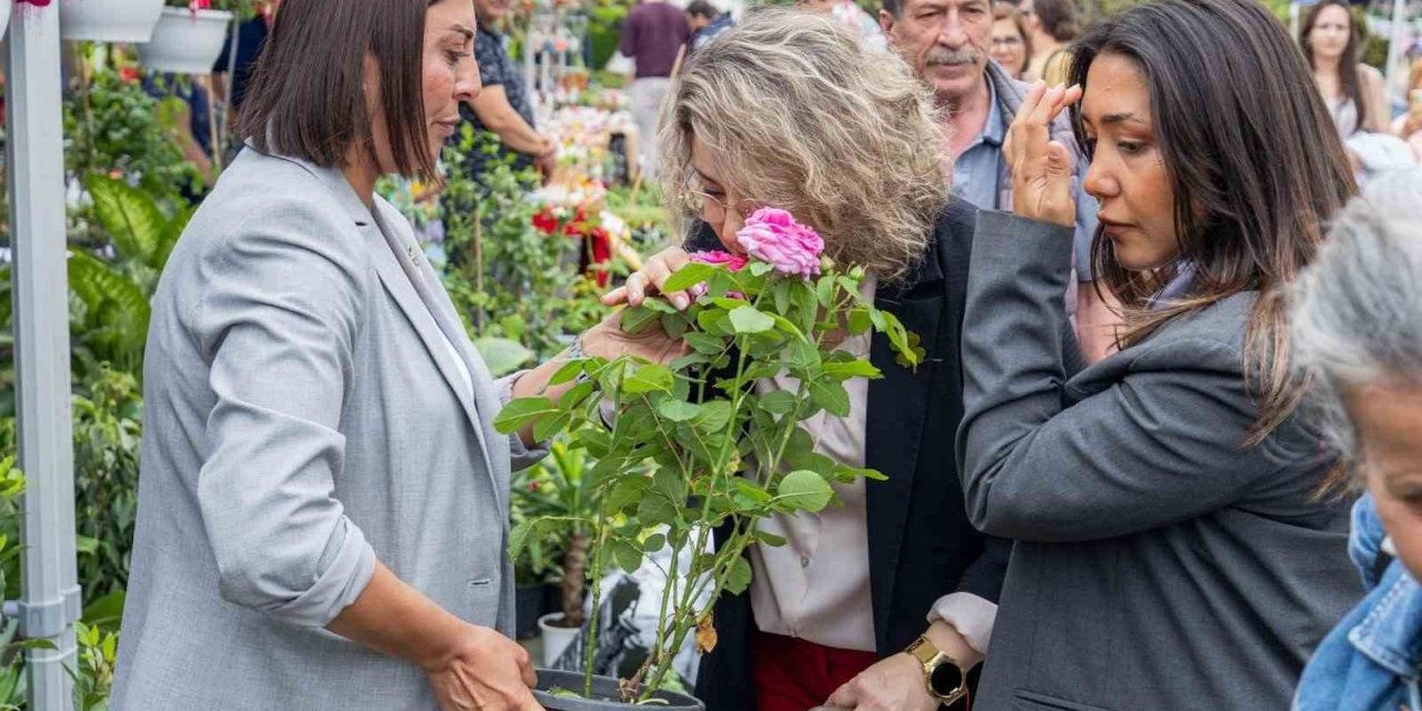İzmir çiçek açtı, her yer rengarenk oldu