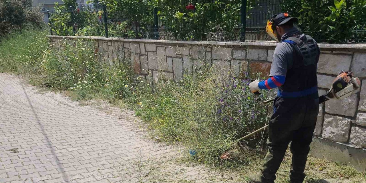 Didim Belediyesi ekipleri ilçe genelinde çalışmalarını sürdürüyor