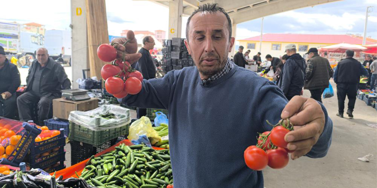 Domates fiyatlarının yüksek olmasının sebebi soğuk hava