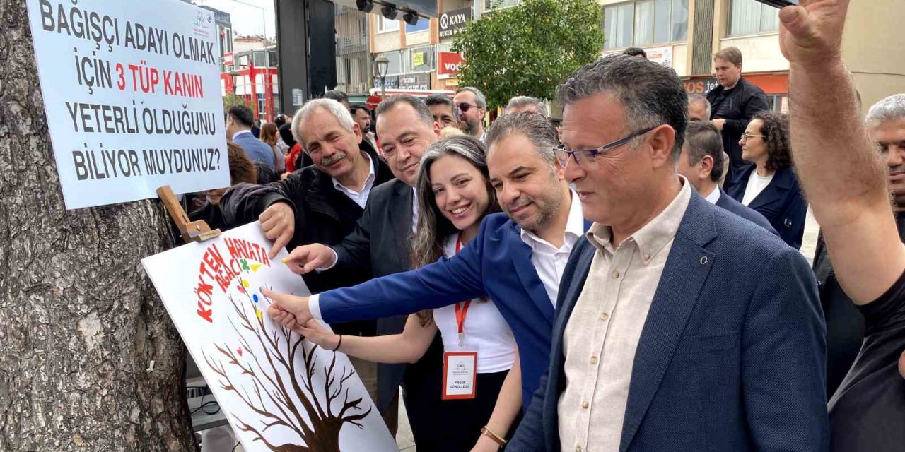 Kökten Hayata Şenliği’ne yoğun ilgi