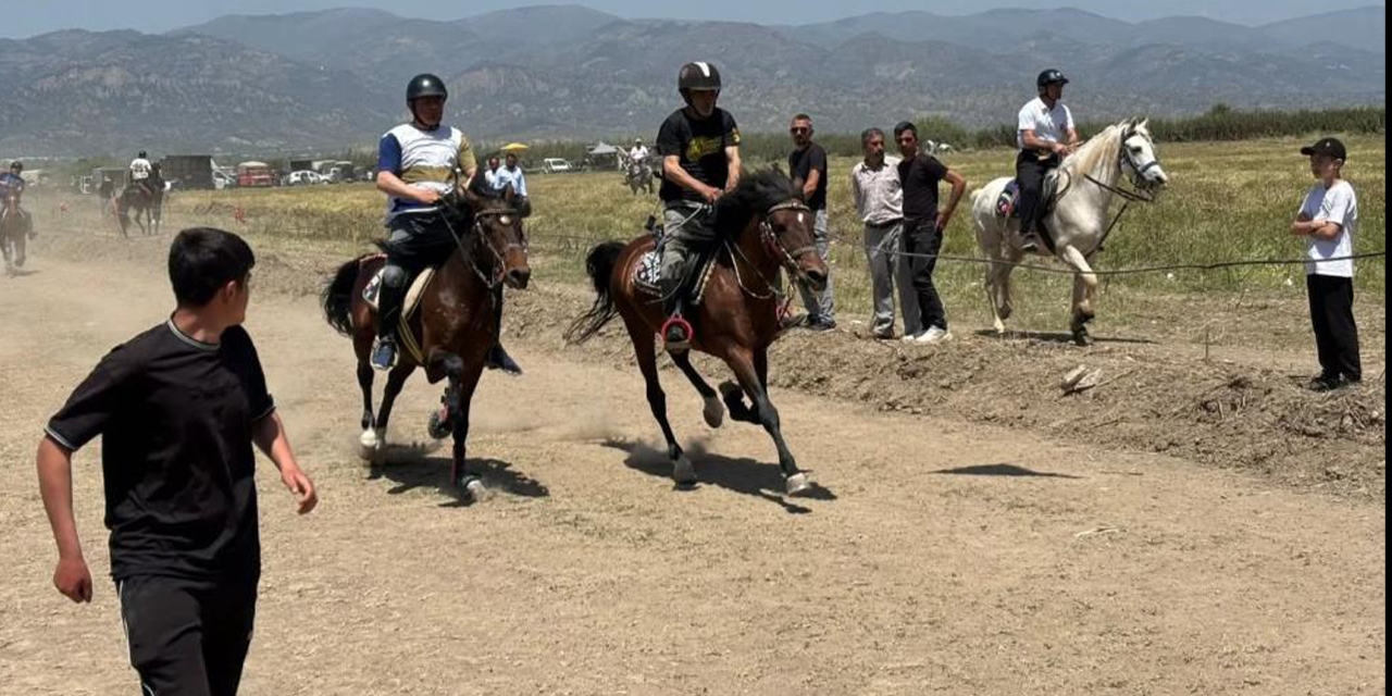 Yenipazar’da rahvan at yarışı heyecanı yaşandı