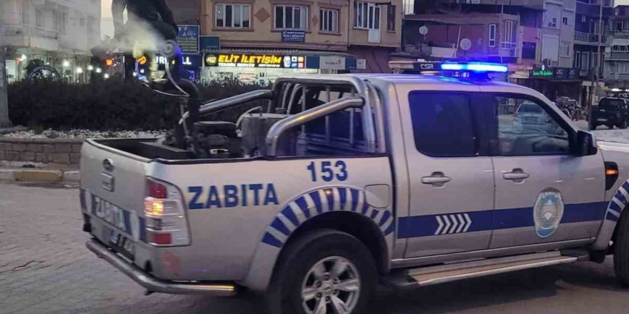 Yenipazar’da sivrisinek ve haşerelere karşı ilaçlama seferberliği