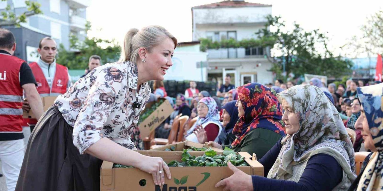 Merkezefendi Belediyesi tarıma destek amacıyla binlerce fideyi üreticiye dağıtıldı