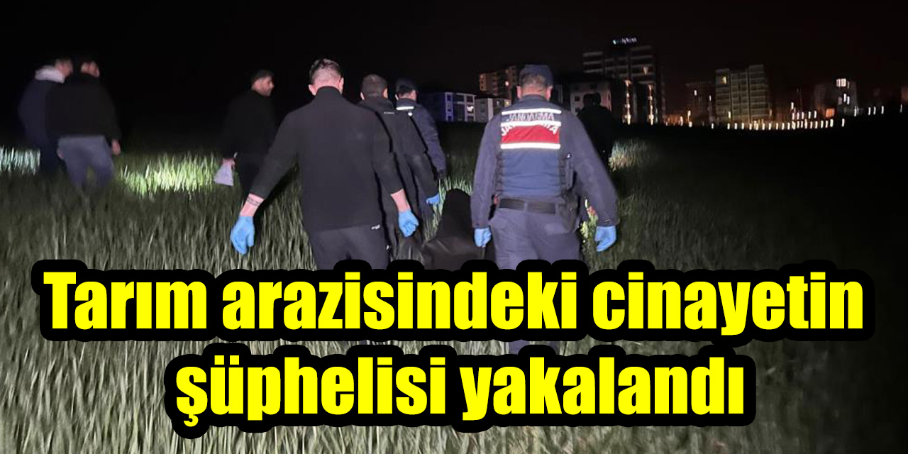 Tarım arazisindeki cinayetin şüphelisi yakalandı
