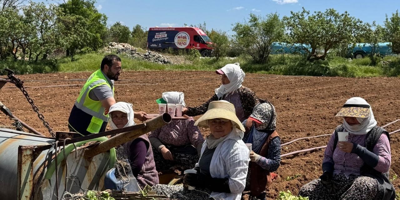 Tarım işçilerine serinleten ikram