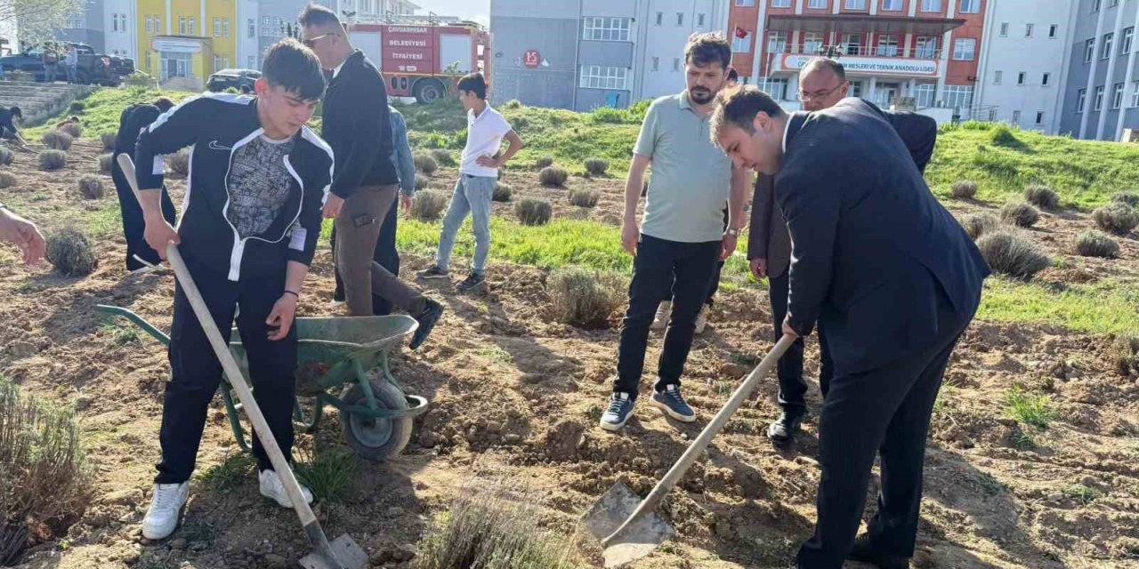 Çavdarhisar’da öğrenciler okulun tarım alanına lavanta fidanı dikti