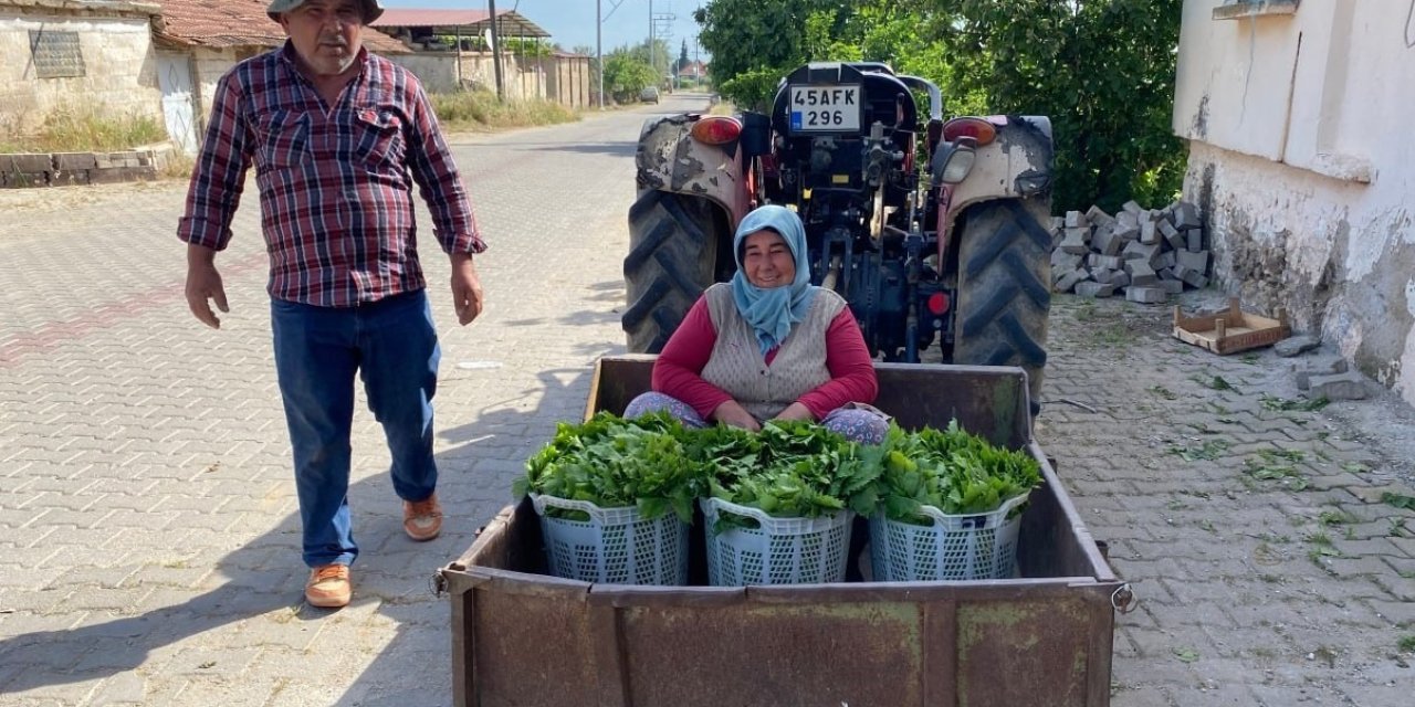 Üzümden önce yaprak kazandırdı