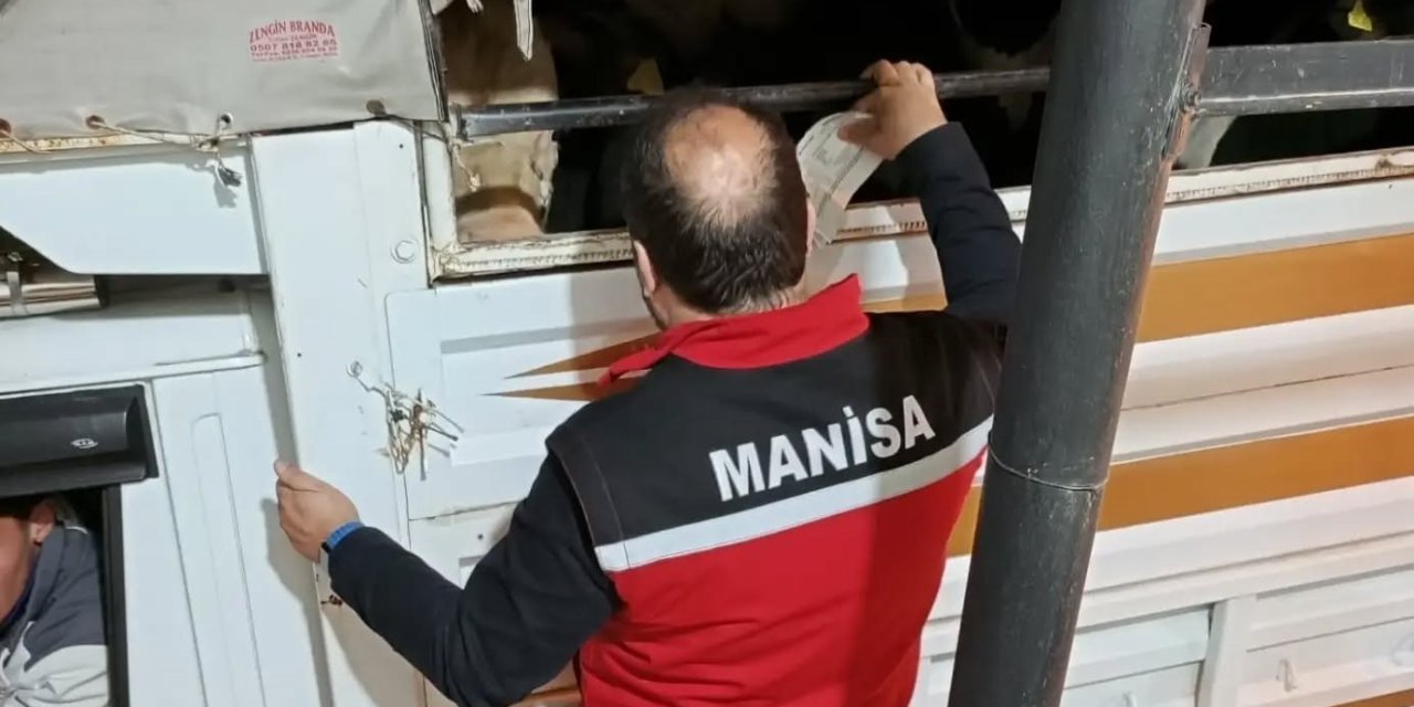 Salihli’de kurbanlık nakli yapan araçlara sıkı denetim