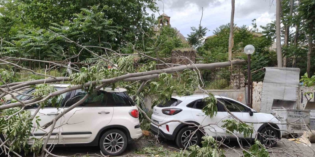 Rüzgarda devrilen ağaç park halindeki araçlara zarar verdi
