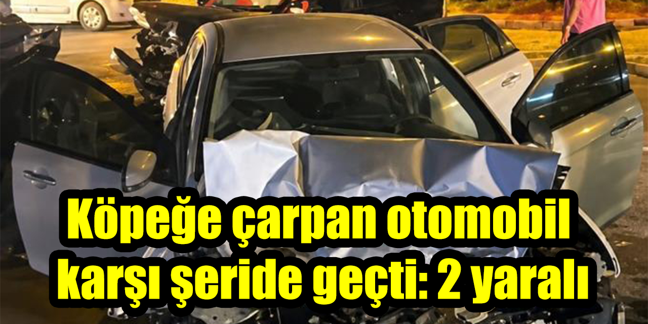 Köpeğe çarpan otomobil karşı şeride geçti: 2 yaralı