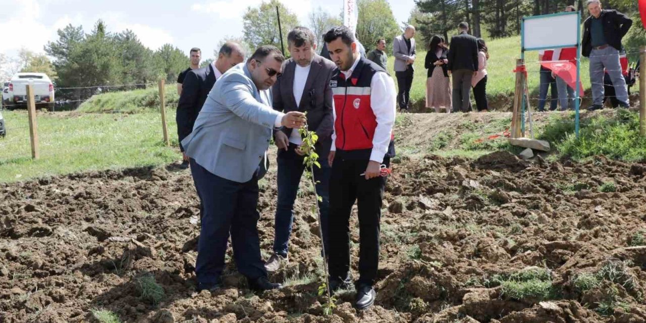 Pazarlar’da atıl durumdaki hazine arazisi tarıma kazandırıldı