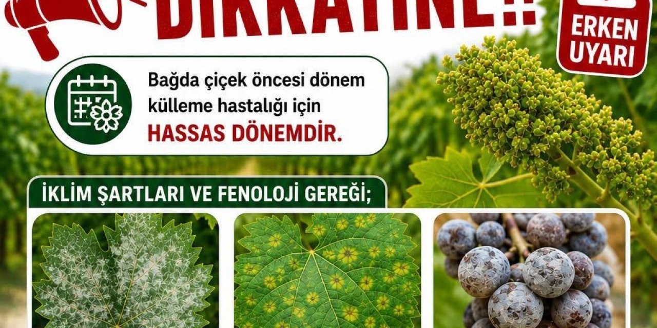 Bağlarda üreticilere ilaçlama uyarısı