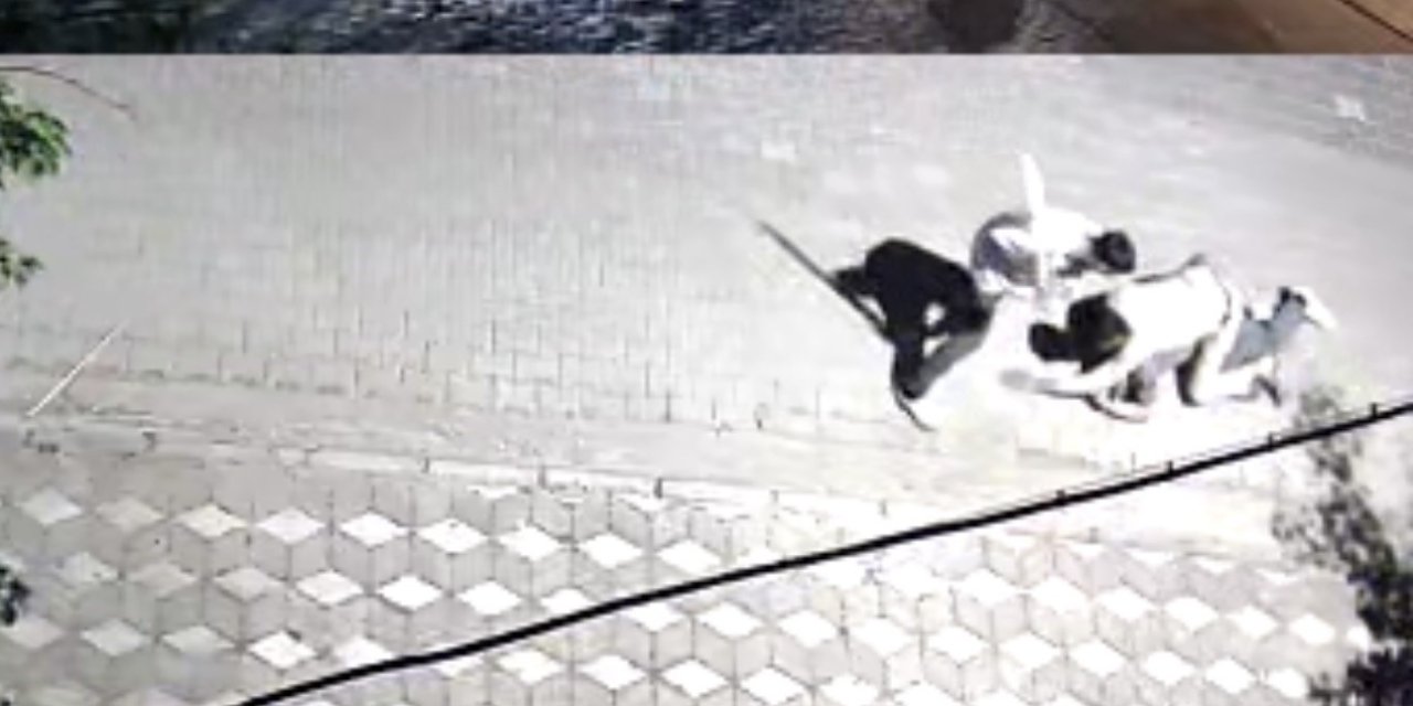 Manisa’da kız meselesi kavgası: 6 yerinden bıçaklandı
