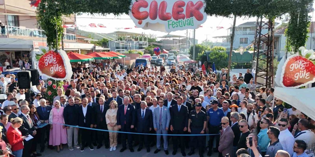 Çilek tadında festival, milyonu aşkın misafir ağırladı