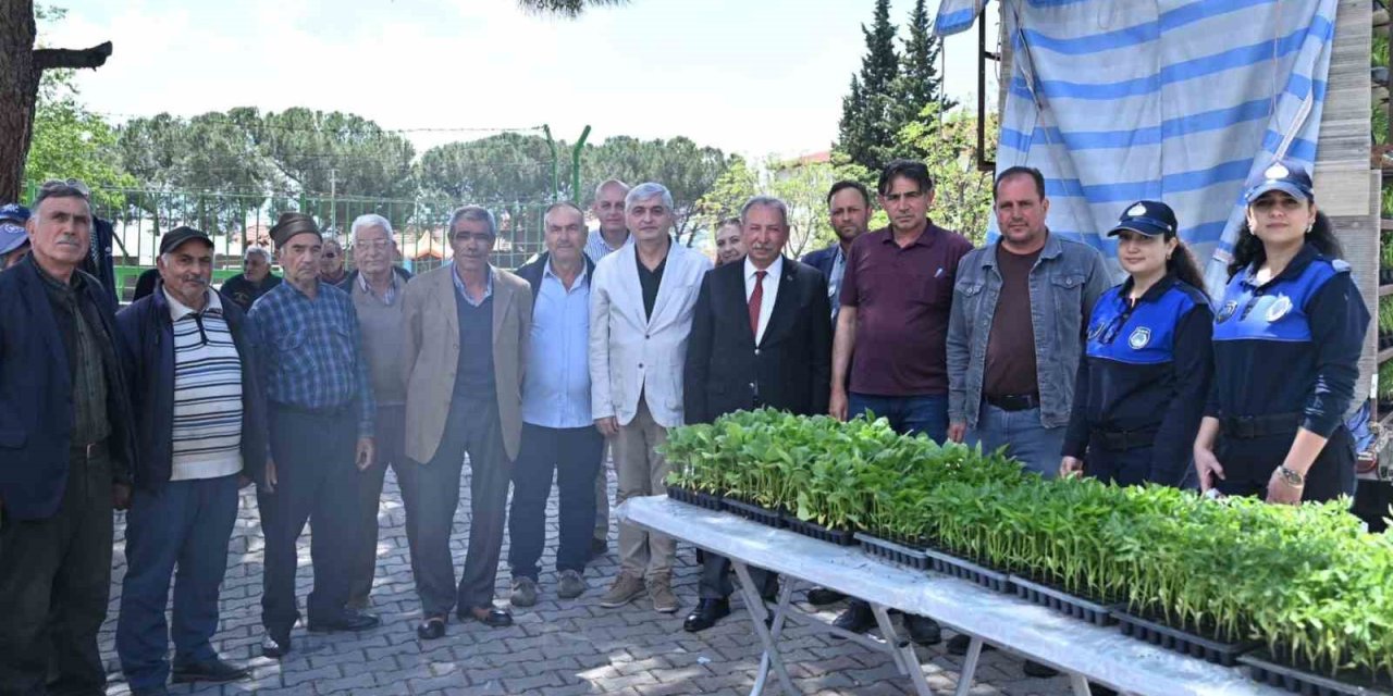 Salihlili üreticilere 34 bin sebze fidesi