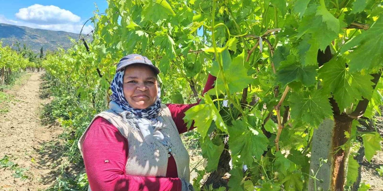 Bayram öncesi bağlarda mesai arttı