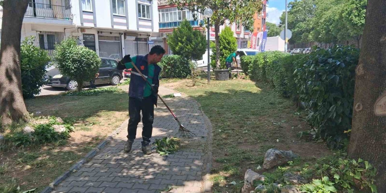 Efeler’de parklar yaza hazırlanıyor