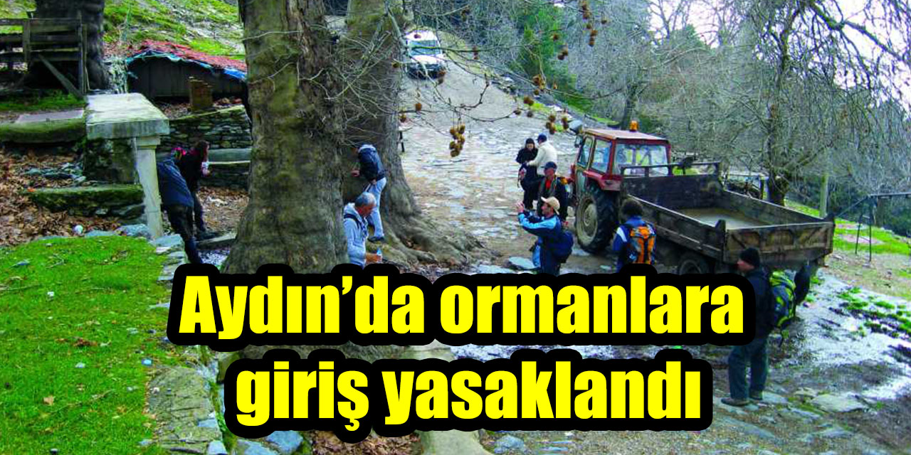Aydın’da ormanlara  giriş yasaklandı