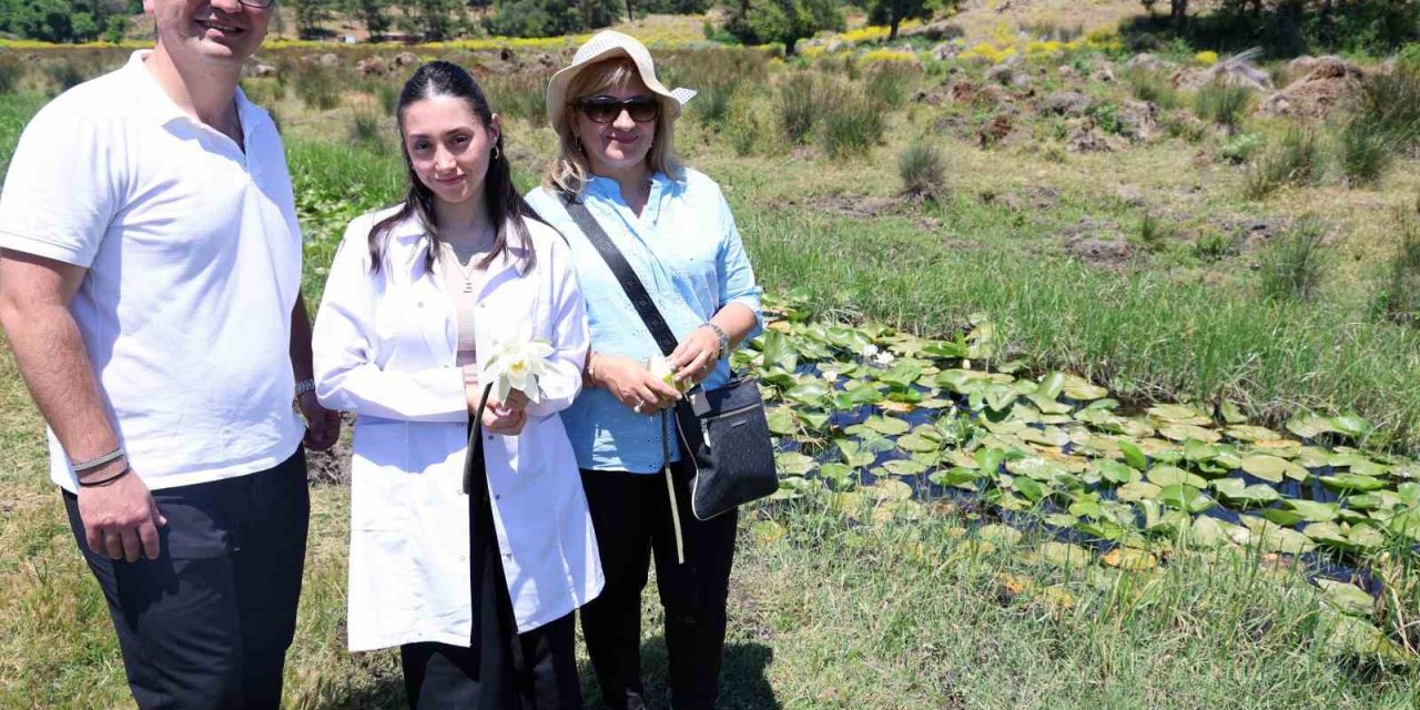 MSKÜ’nün iki projesine uluslararası kongrede birincilik ödülü
