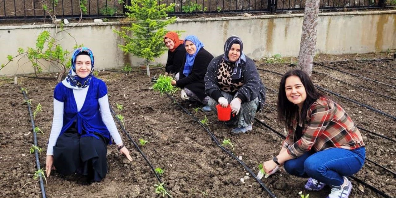 Altıntaş’ta öğretmenler domates fidelerini toprakla buluşturdu