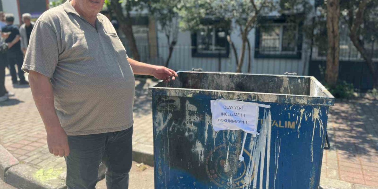 Poşetler içinde bulunan 33 ölü kedi ile ilgili soruşturma başlatıldı