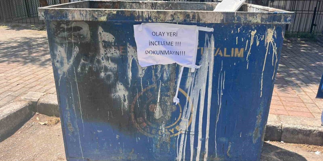 İzmir’de çöpte 33 ölü kedi bulunmasıyla ilgili bir veteriner gözaltına alındı