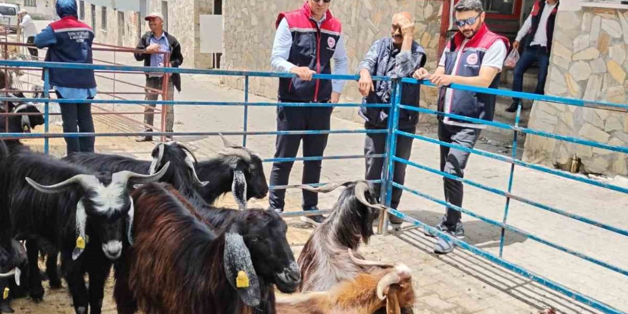 Bozdoğan’da kurban satış yerleri denetlendi