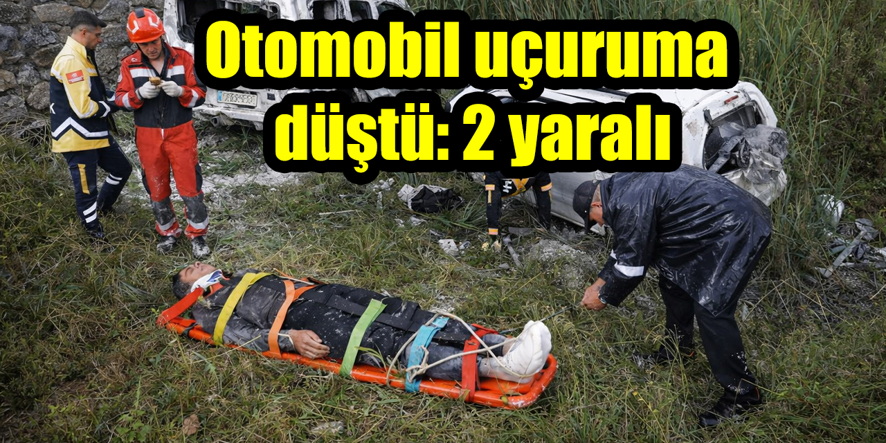 Otomobil uçuruma düştü: 2 yaralı