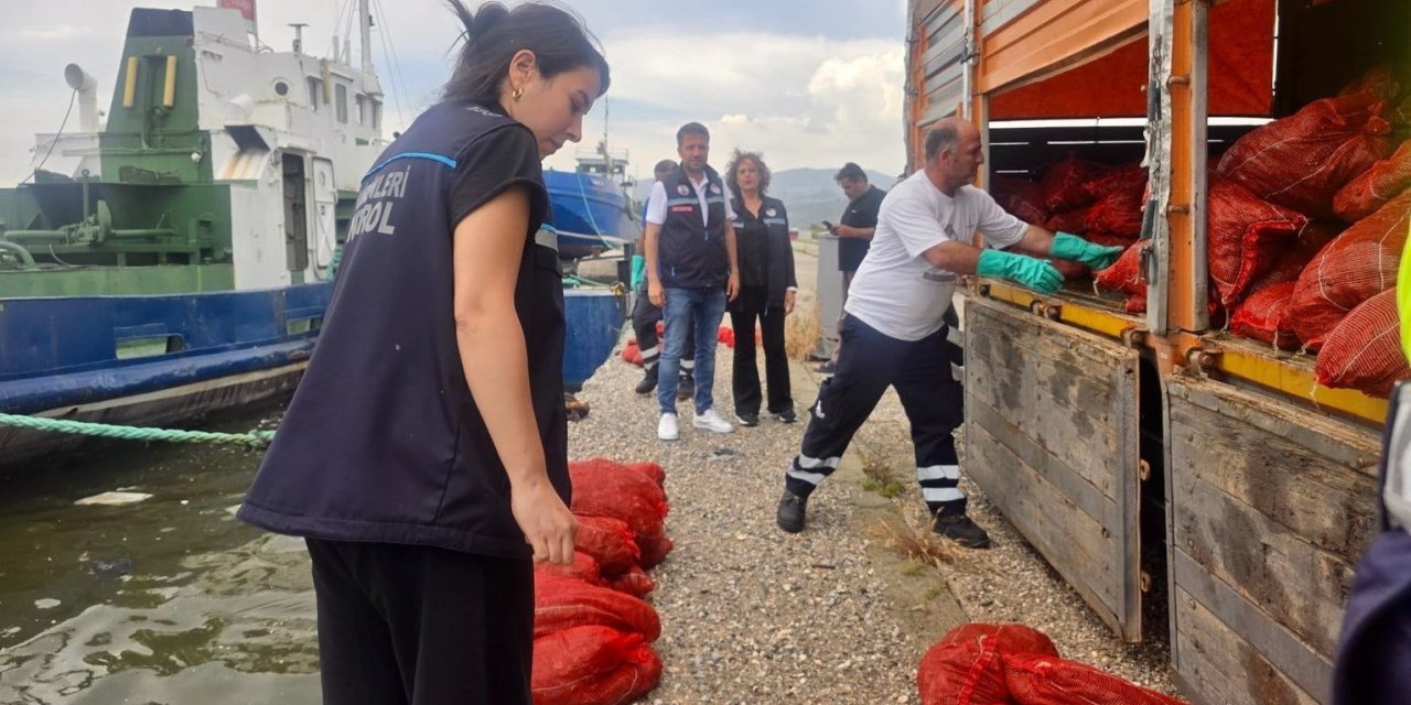 İzmir’de yasa dışı su ürünleri avcılarına ağır darbe: 7 ton kaçak midye ele geçirildi