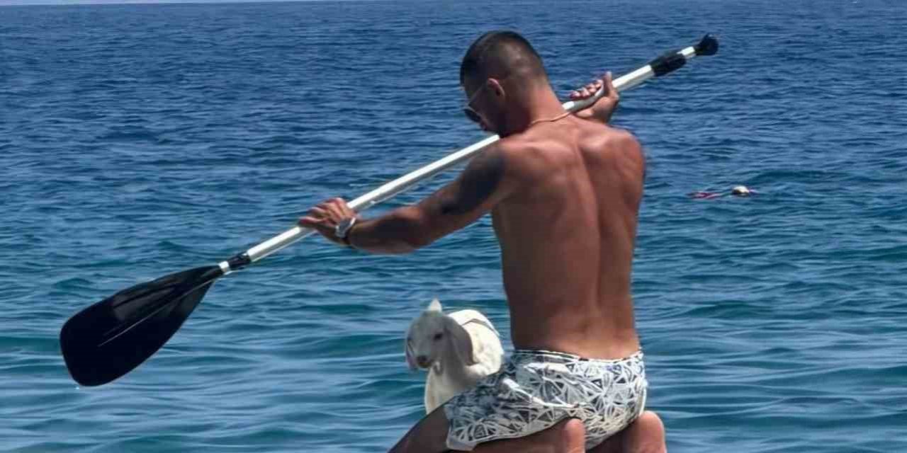 Kanodaki keçi yavrusu ilgi odağı oldu