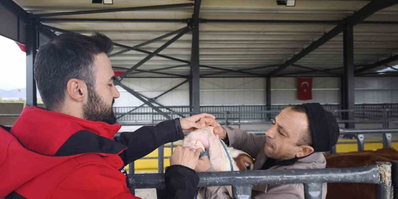Kurbanlık denetimleri sürüyor