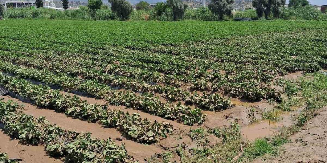Köşk’te sel sonrası arazilerde hasar tespiti başlatıldı