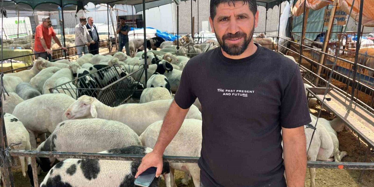 İzmir kurban pazarlarında sosyal medya rüzgarı