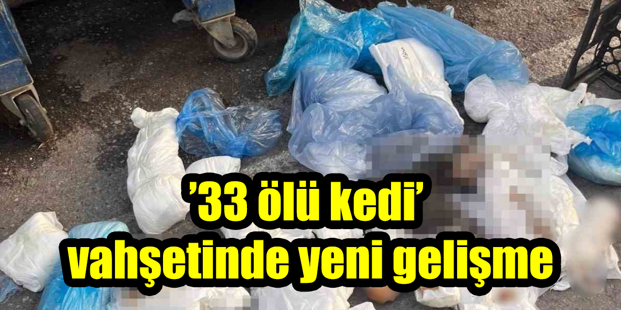 ’33 ölü kedi’ vahşetinde yeni gelişme