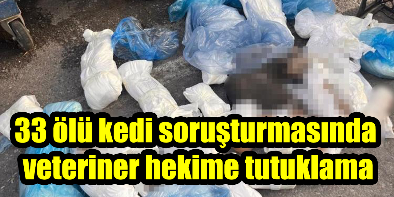 33 ölü kedi soruşturmasında veteriner hekime tutuklama