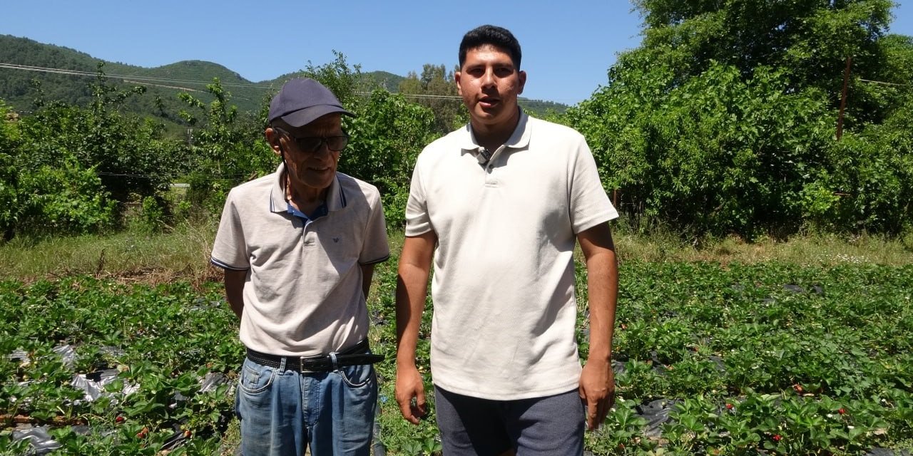 Marmaris’te baba oğulun çilek mesaisi