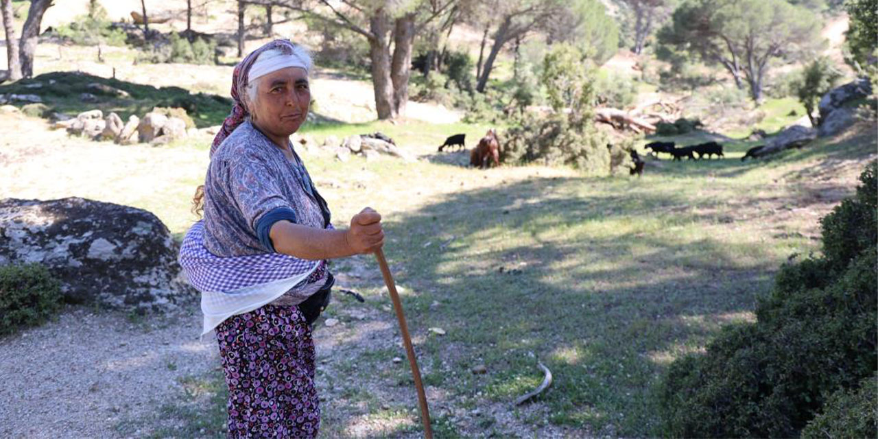 Beşparmak Dağları’nda çan sesleri susuyor: En genç çoban 60 yaşında