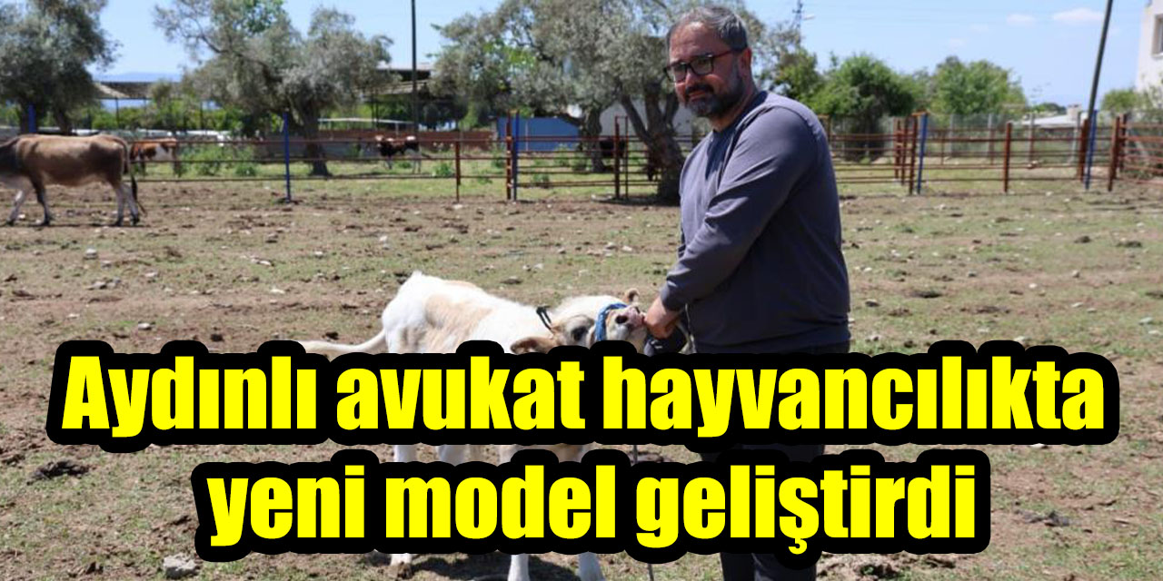 Aydınlı avukat hayvancılıkta yeni model geliştirdi